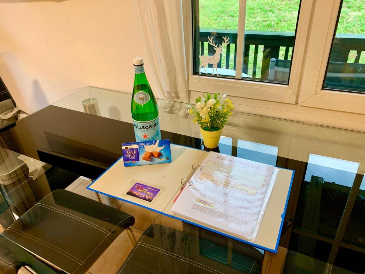 Moench Amazing Apartment גרינדלוולד מראה חיצוני תמונה